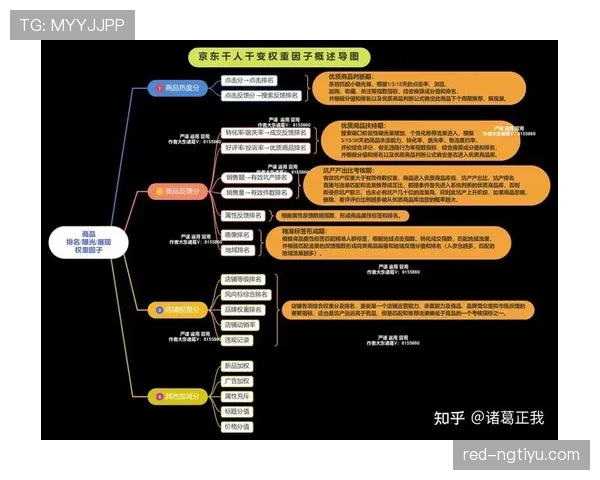 篮球比赛中争议球处理规则的判定依据与流程解析