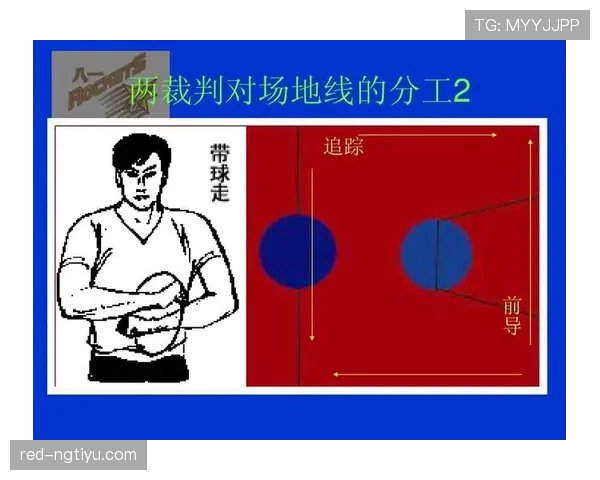 篮球前场规则解析：球回后场违例的判定标准