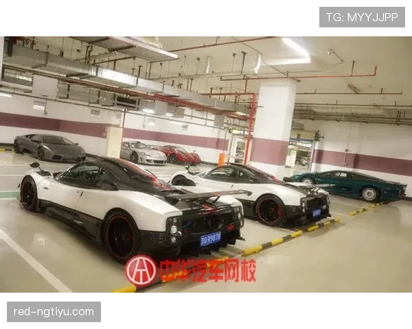 韦少又买豪车？光车库的钱普通人存一辈子都没影儿